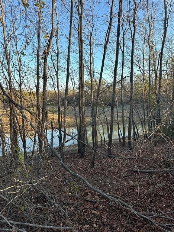 75 acres in Brown County - photo 33