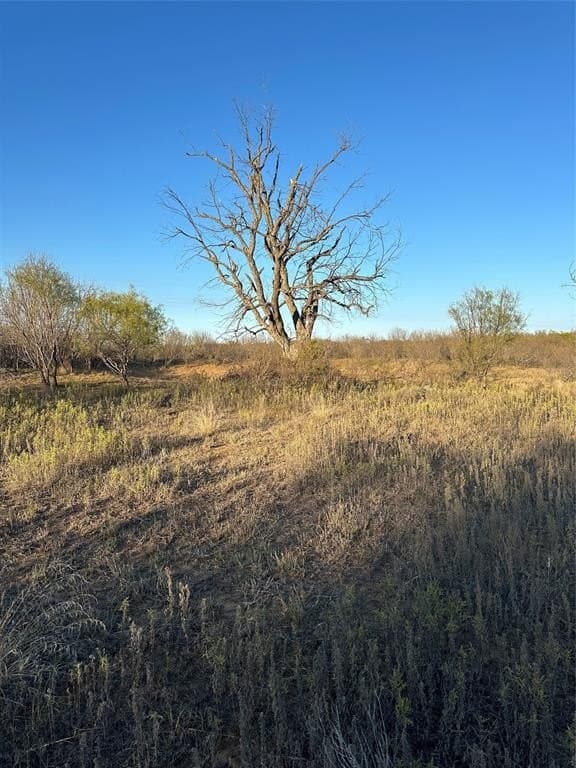 75 acres in Brown County - photo 26