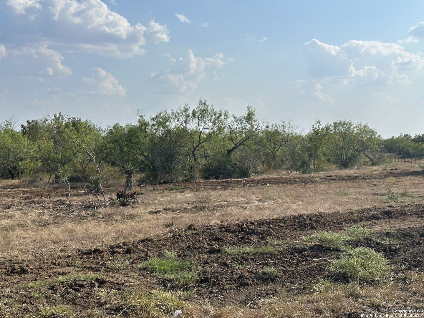 5.63 acres in Wilson County - photo 6