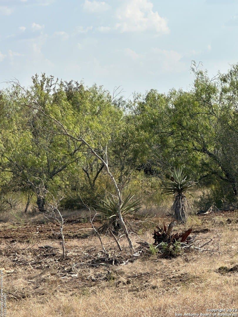 5.63 acres in Wilson County - photo 3