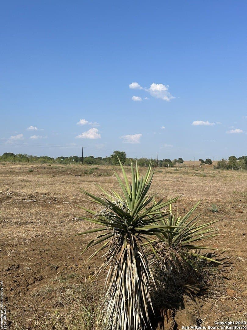 5.63 acres in Wilson County - photo 2