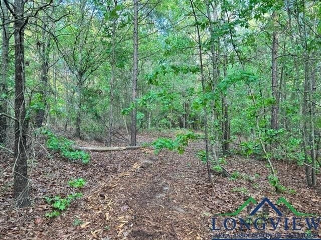 22.06 acres in Upshur County - photo 3