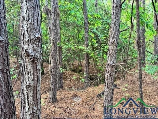 22.06 acres in Upshur County - photo 13