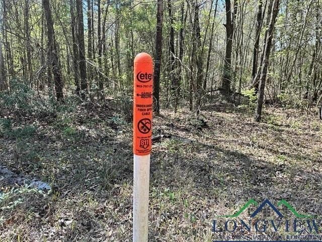 22.06 acres in Upshur County - photo 19