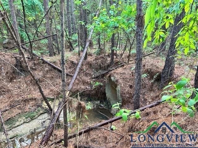 22.06 acres in Upshur County - photo 14