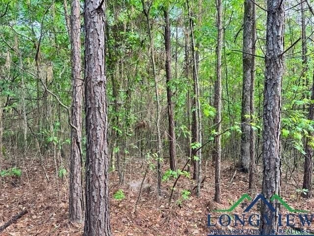 22.06 acres in Upshur County - photo 7