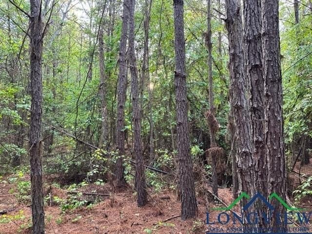 22.06 acres in Upshur County - photo 12