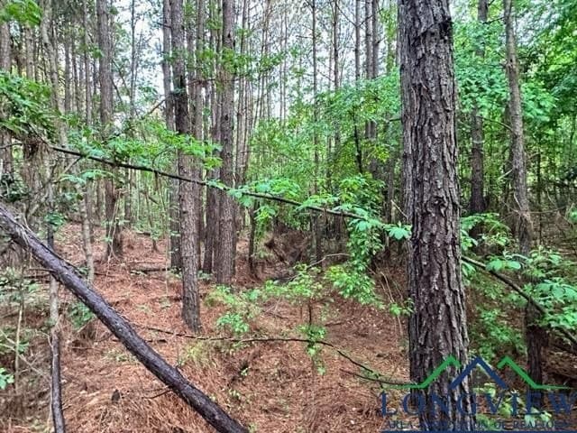 22.06 acres in Upshur County - photo 9