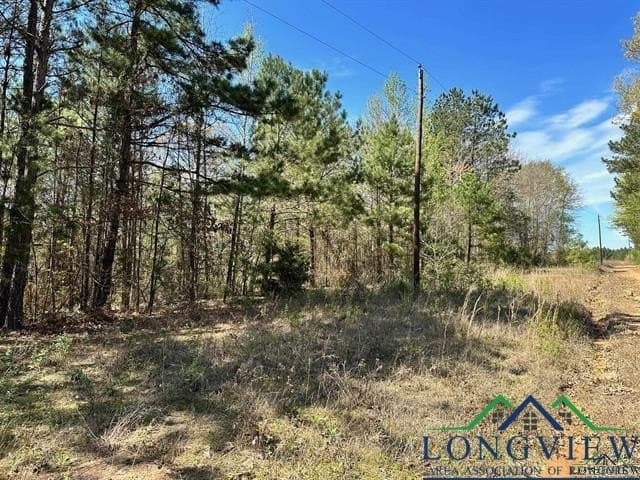 22.06 acres in Upshur County - photo 17
