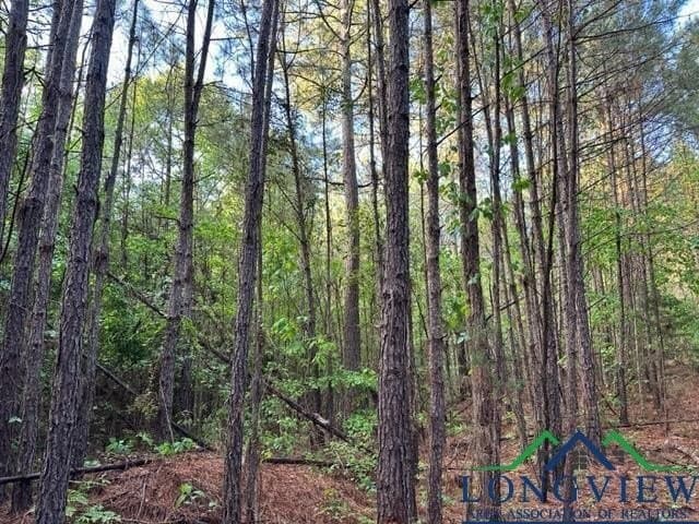 22.06 acres in Upshur County - photo 10