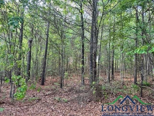 22.06 acres in Upshur County - photo 4