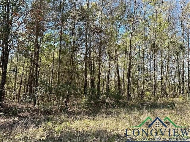 22.06 acres in Upshur County - photo 18
