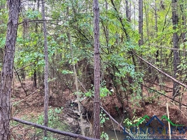 22.06 acres in Upshur County - photo 11