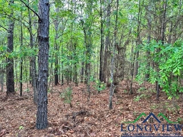 22.06 acres in Upshur County - photo 5