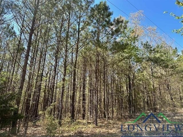22.06 acres in Upshur County - photo 15