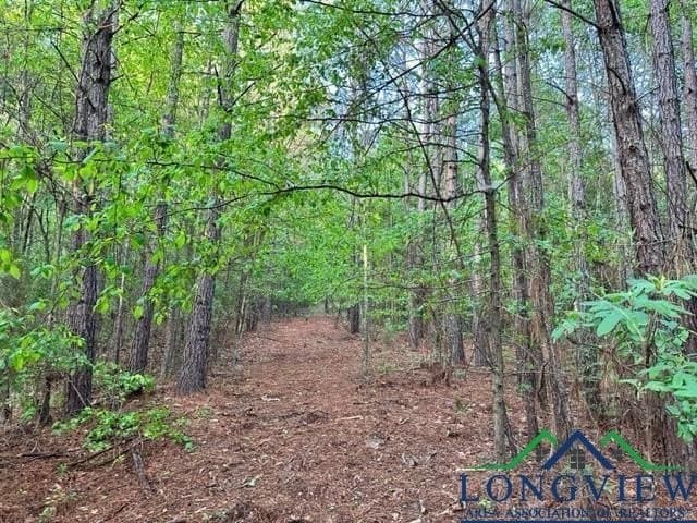 22.06 acres in Upshur County - photo 8