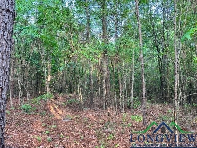 22.06 acres in Upshur County - photo 6