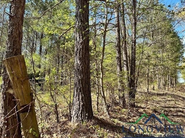 22.06 acres in Upshur County - photo 16