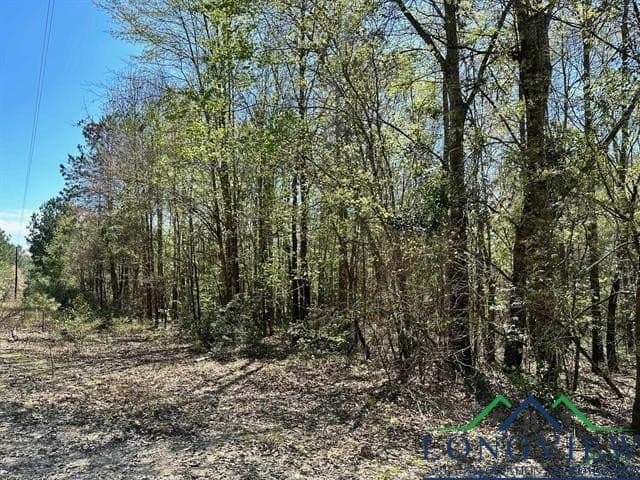 22.06 acres in Upshur County - photo 20