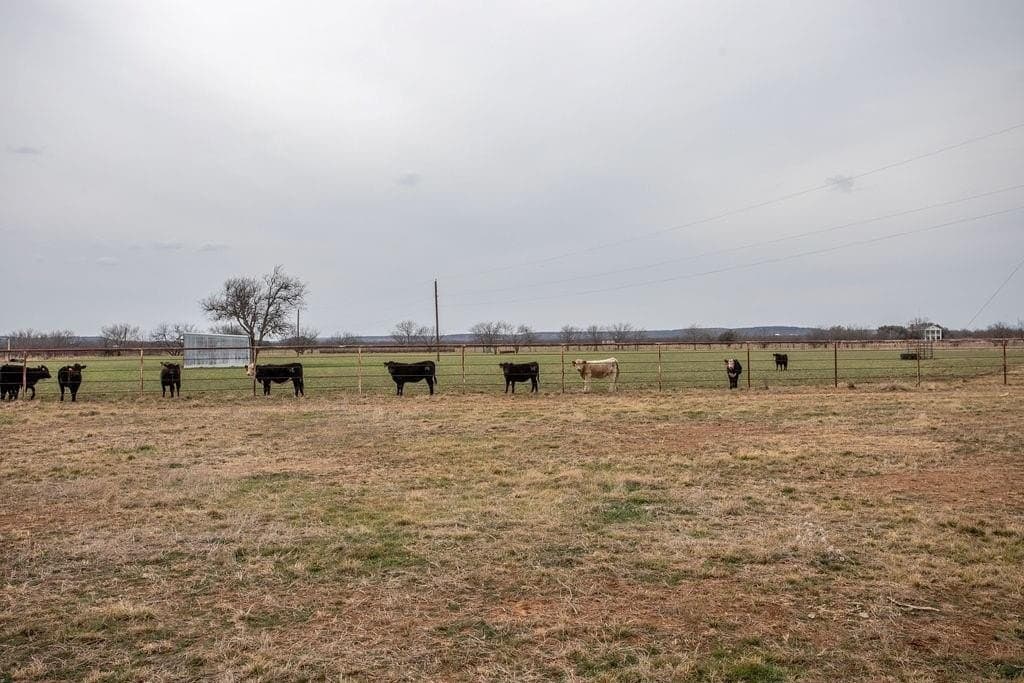 43 acres in Shackelford County - photo 26