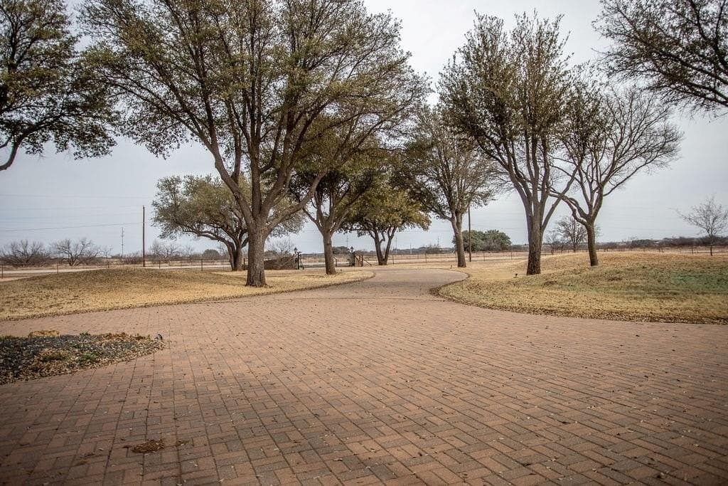 43 acres in Shackelford County - photo 2
