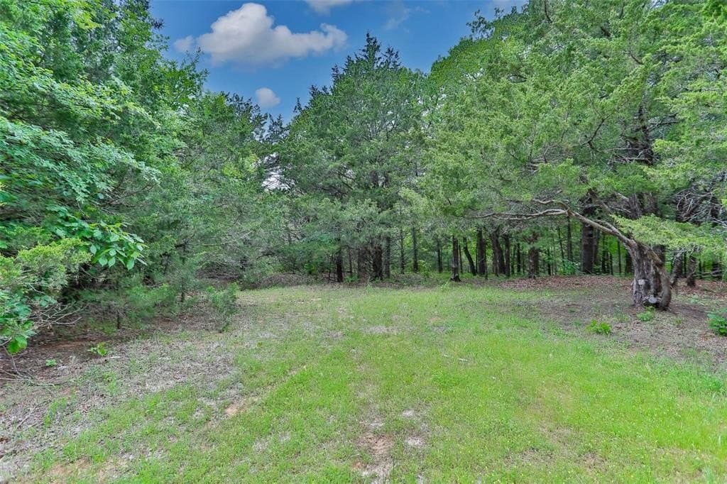 0.54 acres in Grayson County - photo 9