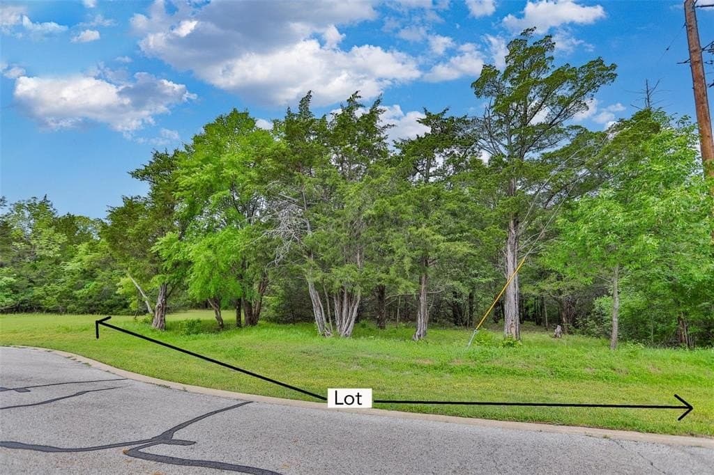 0.54 acres in Grayson County - photo 3