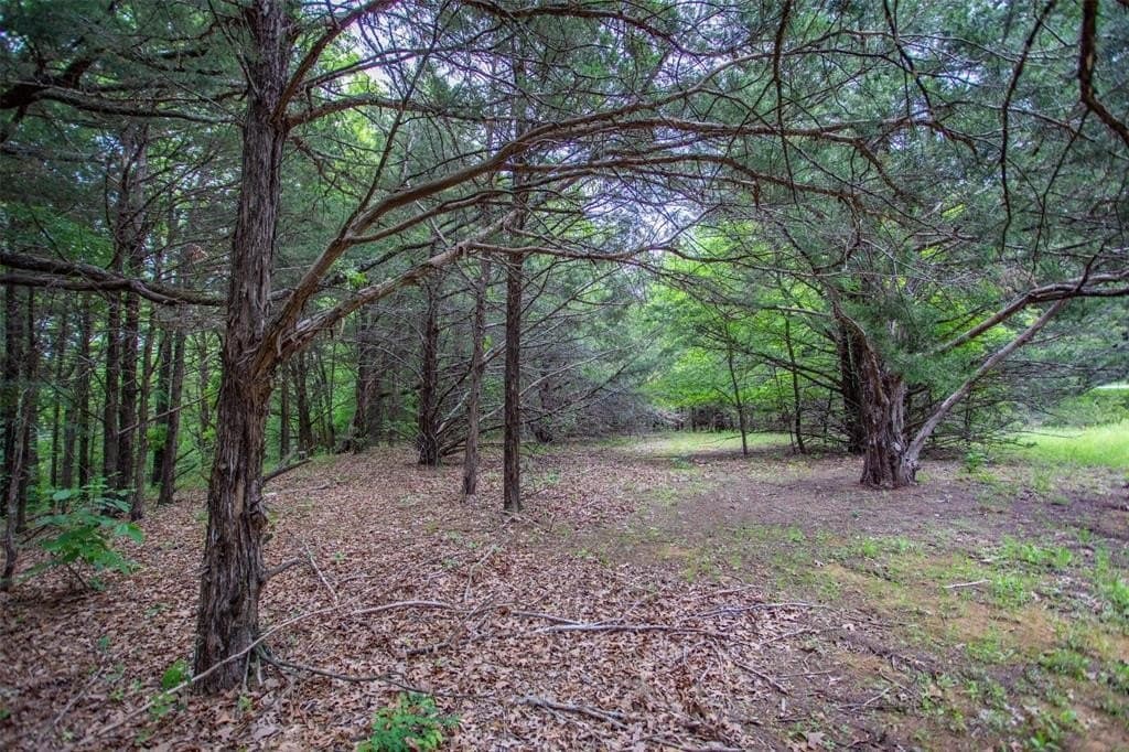 0.54 acres in Grayson County - photo 10