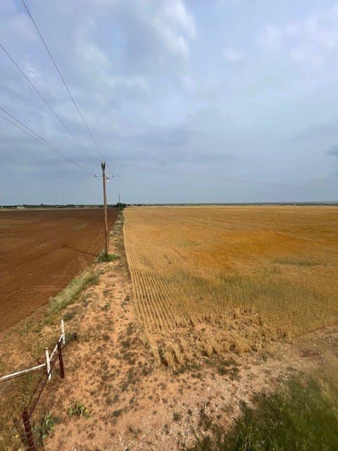 45 acres in Runnels County - photo 8