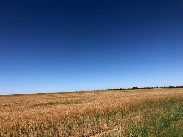 45 acres in Runnels County - photo 12
