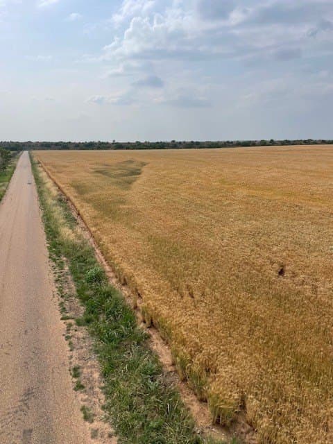 45 acres in Runnels County - photo 5