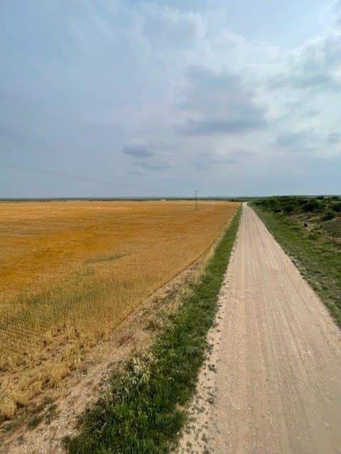 45 acres in Runnels County - photo 10