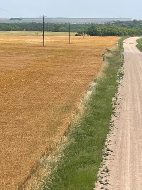 45 acres in Runnels County - photo 2