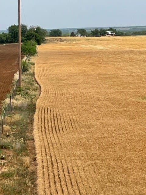 45 acres in Runnels County - photo 3