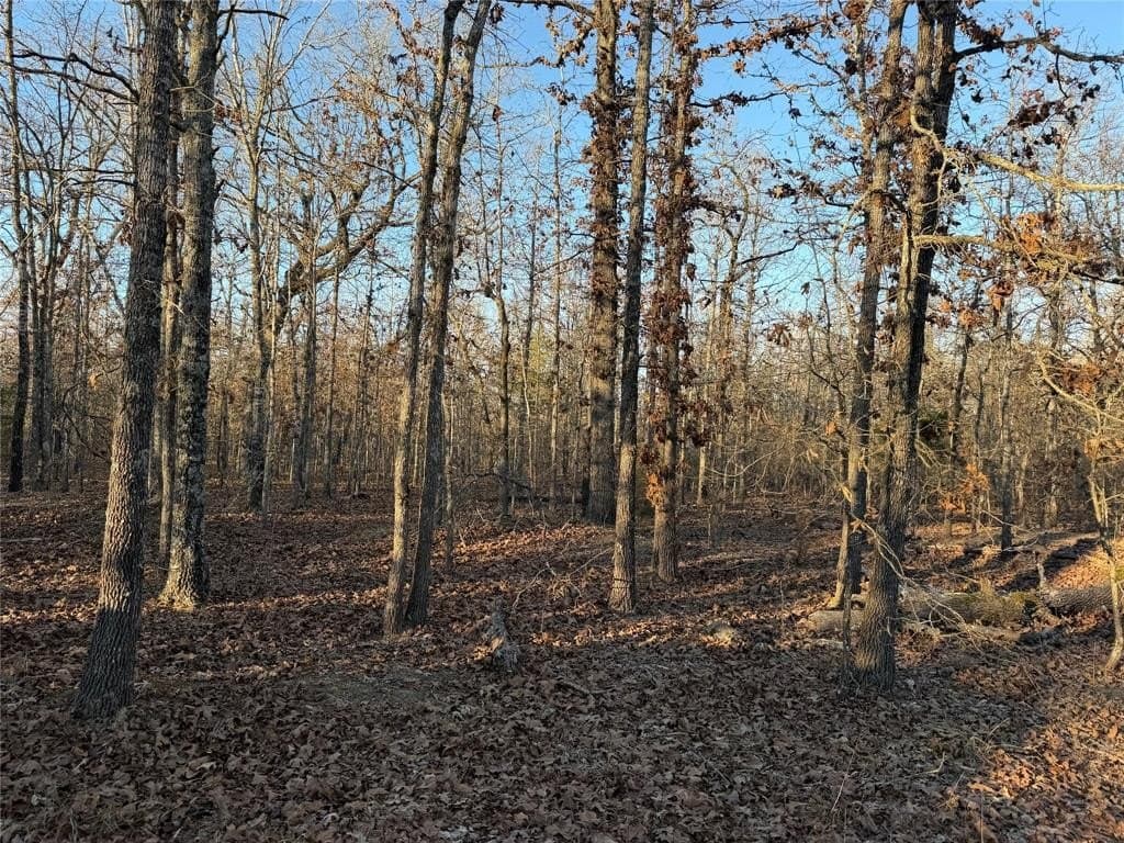 5.11 acres in Lamar County - photo 2