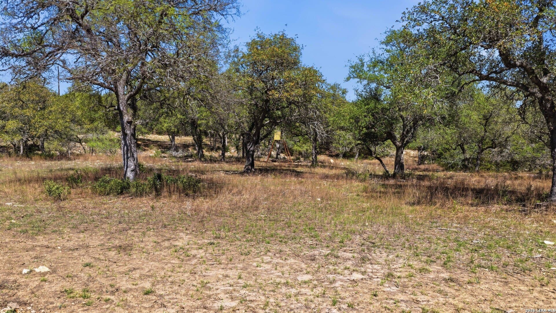 10.02 acres in Comal County - photo 20