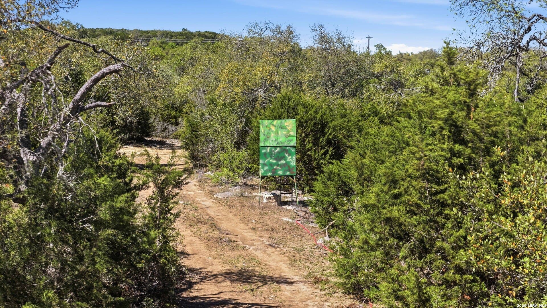 10.02 acres in Comal County - photo 12