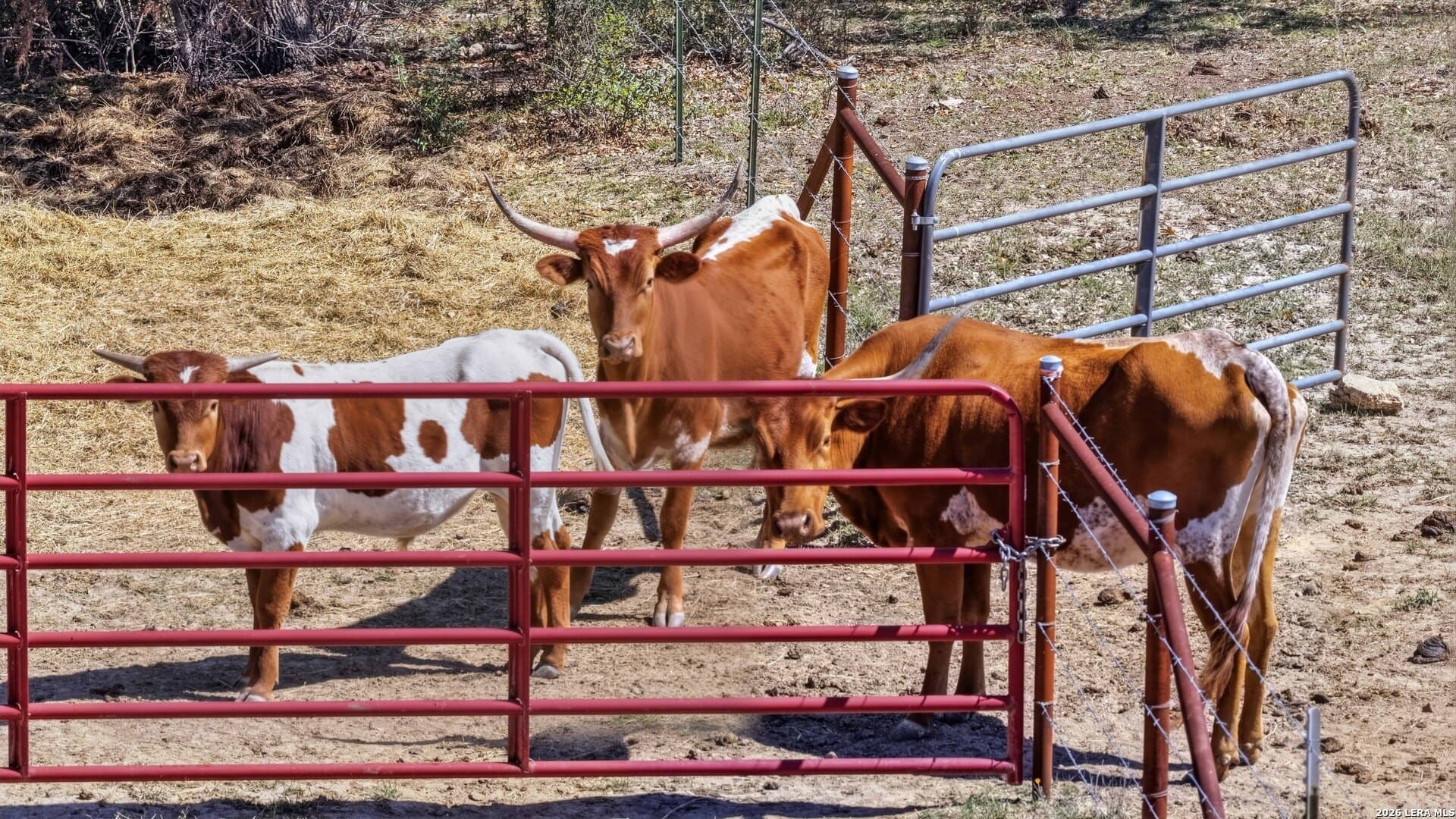 10.02 acres in Comal County - photo 37