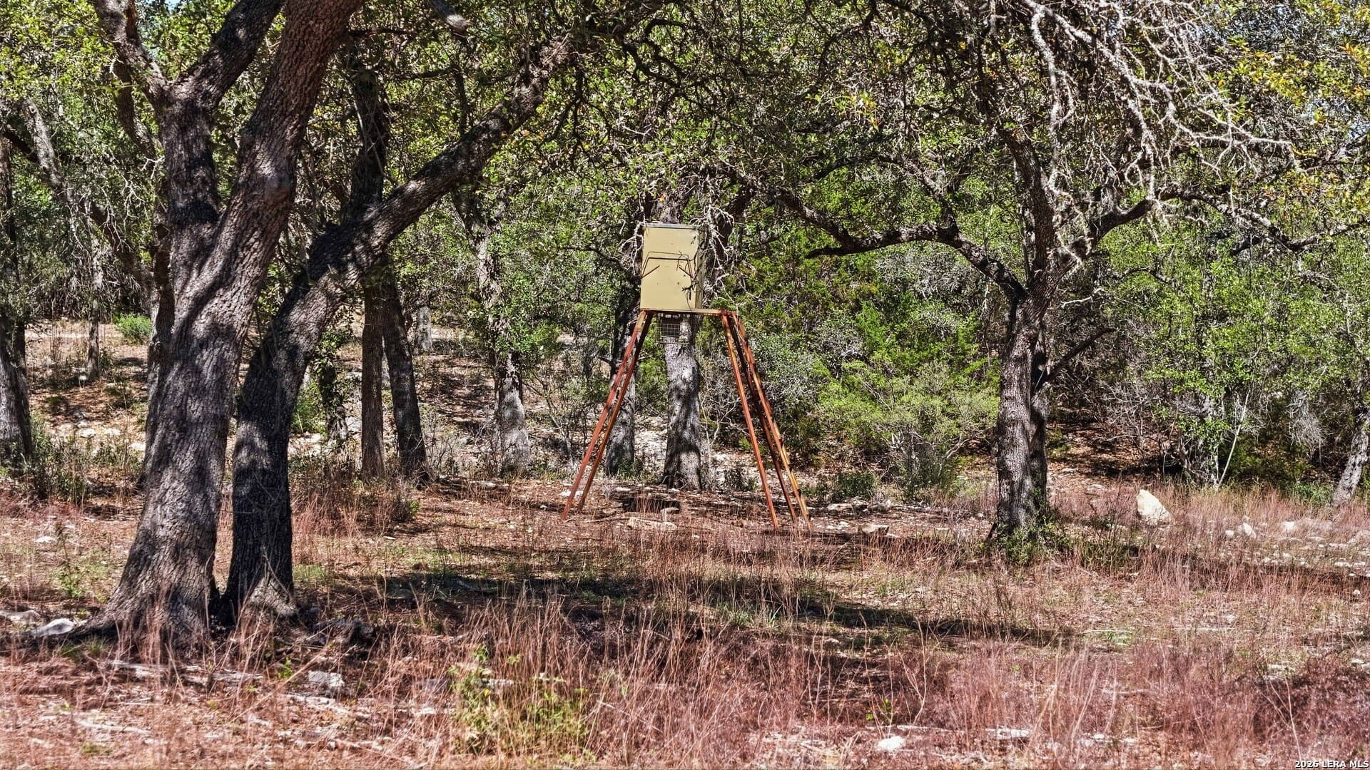 10.02 acres in Comal County - photo 19