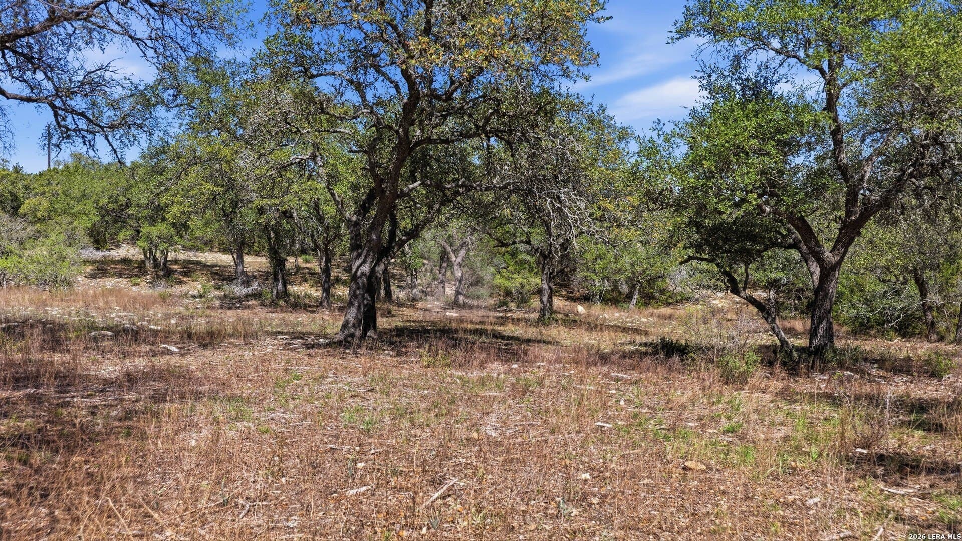 10.02 acres in Comal County - photo 18