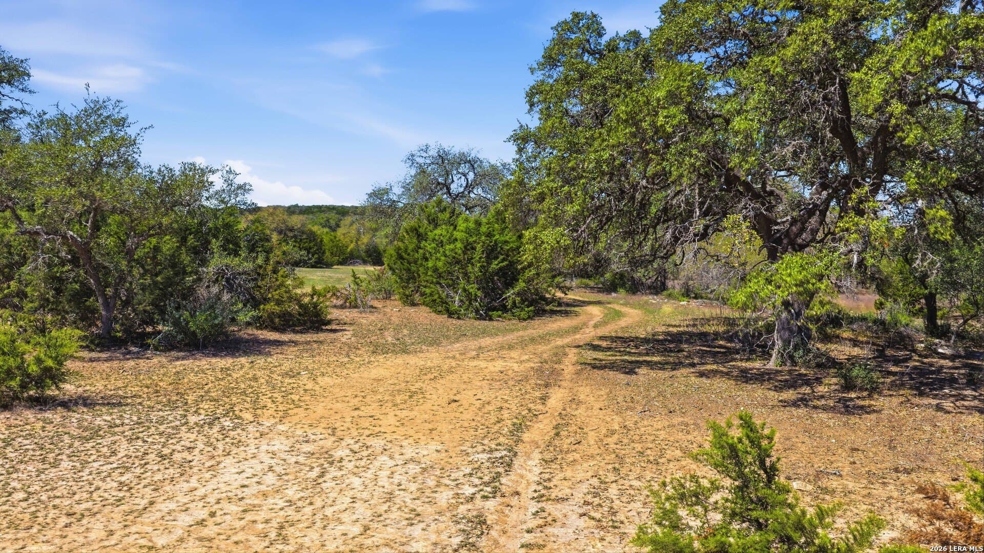 10.02 acres in Comal County - photo 6
