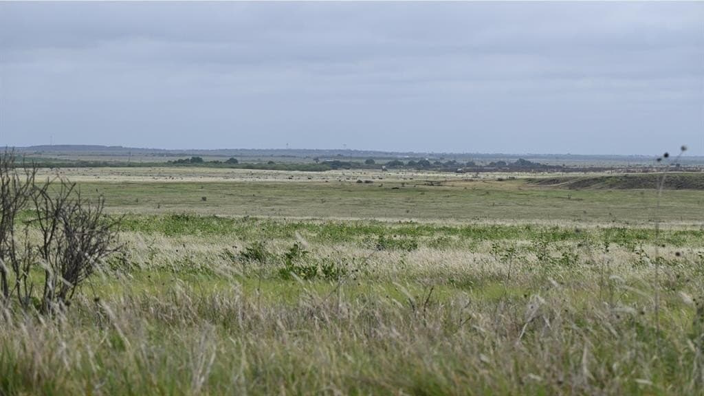 928 acres in Archer County - photo 16