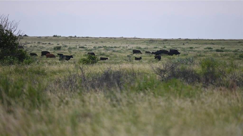 928 acres in Archer County - photo 12