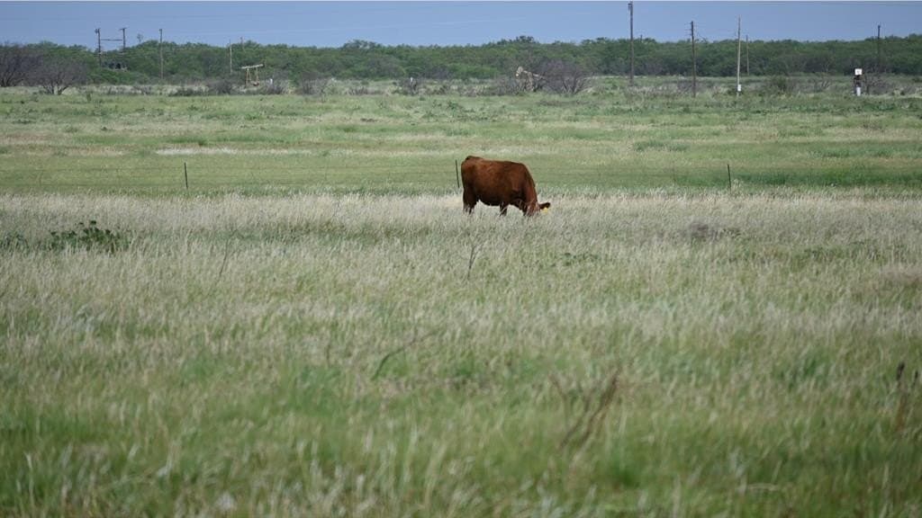 928 acres in Archer County - photo 7