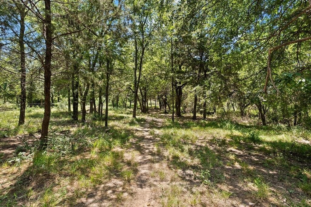 8.4 acres in Van Zandt County - photo 5