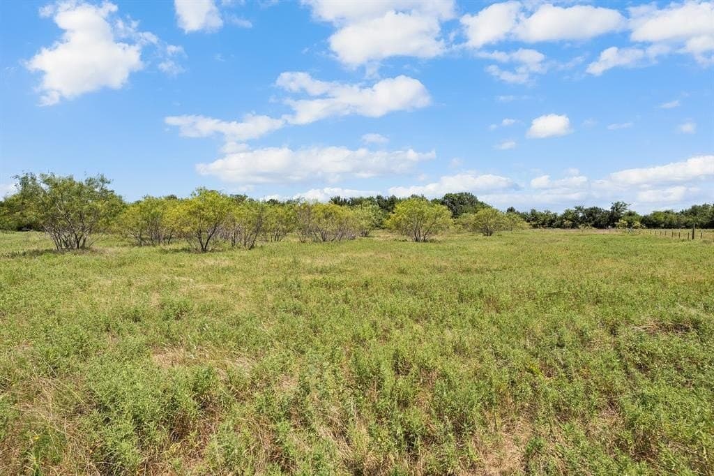 8.4 acres in Van Zandt County - photo 21