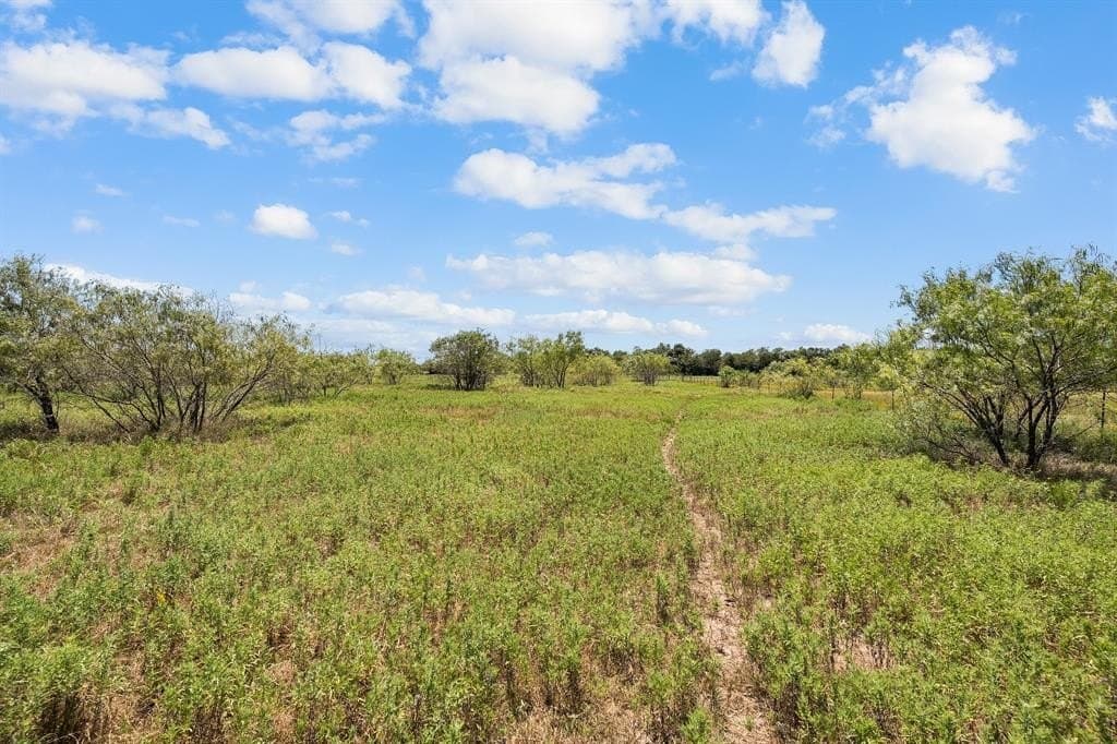 8.4 acres in Van Zandt County - photo 23