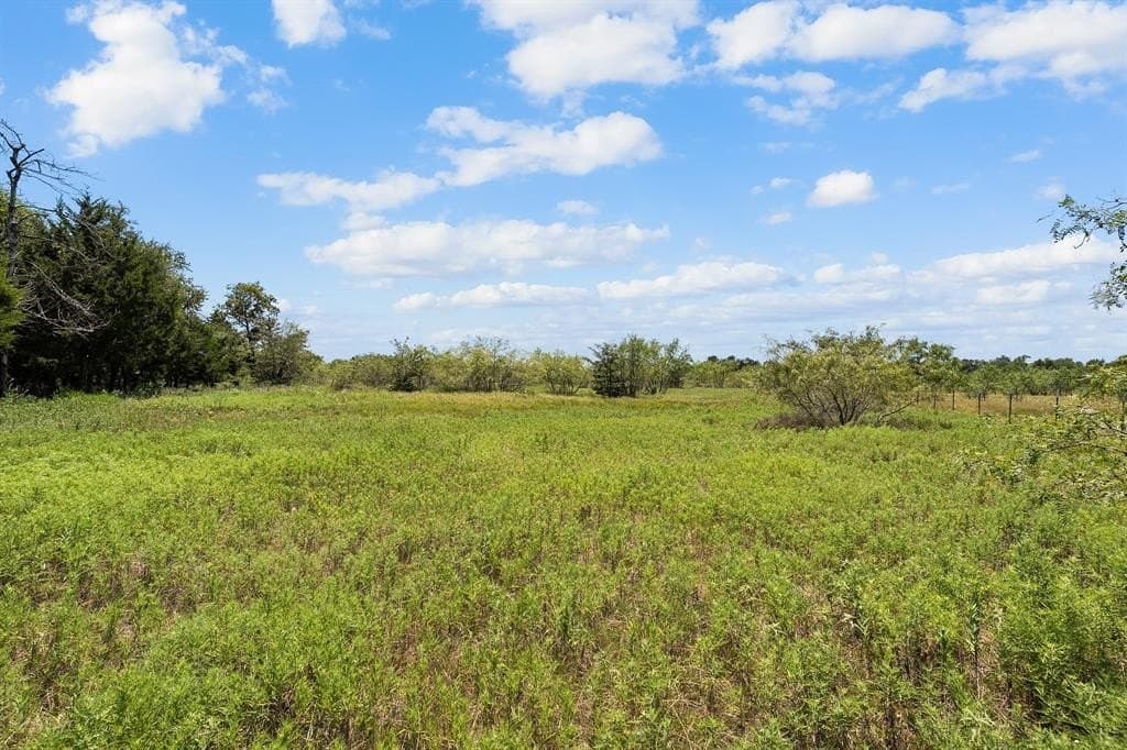 8.4 acres in Van Zandt County - photo 24