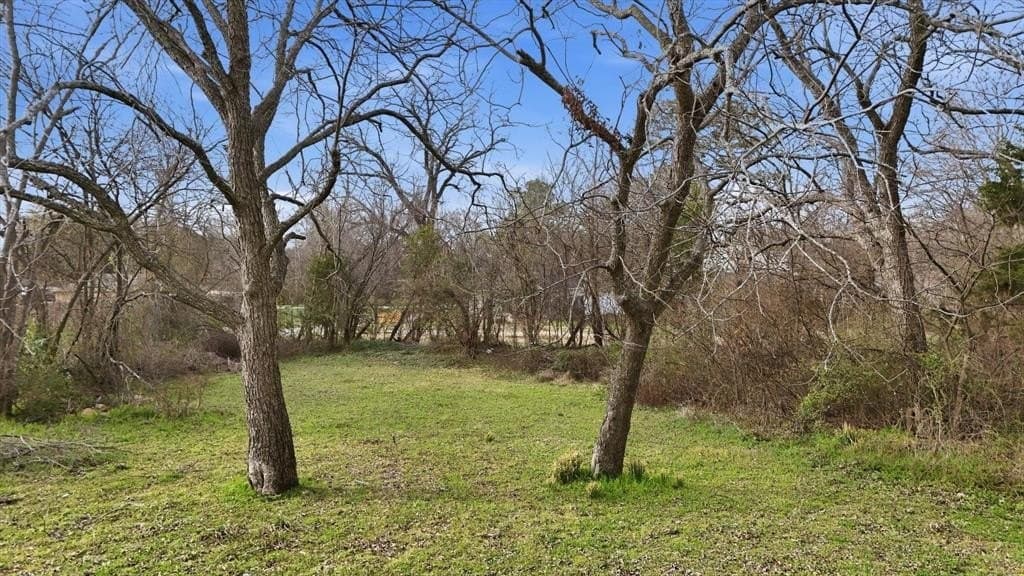 0.3 acres in Kaufman County - photo 2