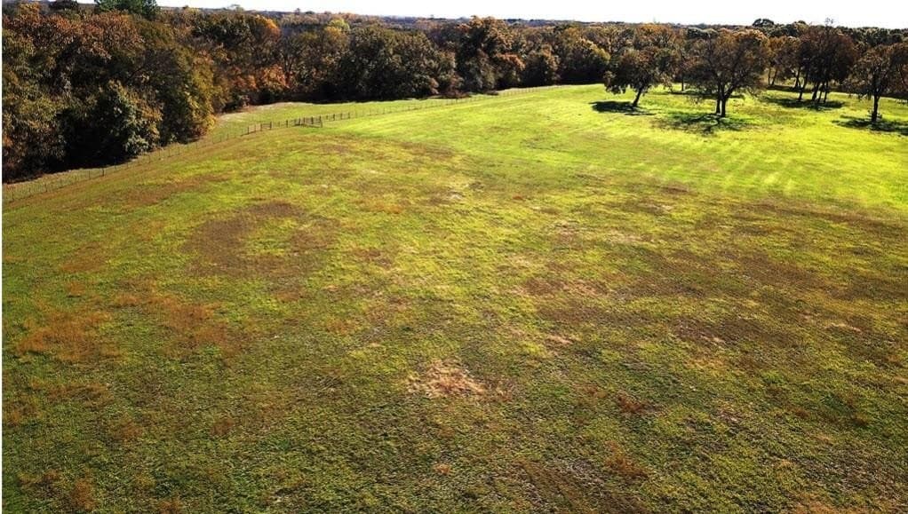 10.45 acres in Grayson County - photo 3